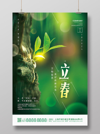 绿色水彩创意新芽二十四节气立春海报节日立春节日